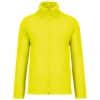 fluorescent-yellow