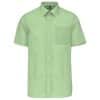 pistachio-green