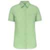 pistachio-green