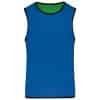 sporty-royal-blue-green