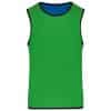 sporty-royal-blue-green