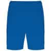 sporty-royal-blue