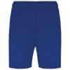 dark-royal-blue