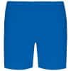 light-royal-blue