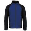 dark-royal-blue-black