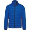 light-royal-blue