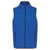 light-royal-blue