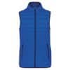 light-royal-blue