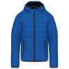 light-royal-blue