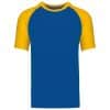 royal-blue-yellow