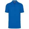 light-royal-blue