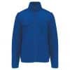 royal-blue