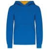 light-royal-blue-yellow