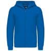 light-royal-blue
