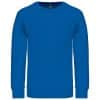 light-royal-blue