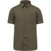 light-khaki