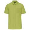 burnt-lime