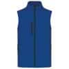 dark-royal-blue