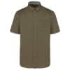 light-khaki