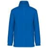 light-royal-blue