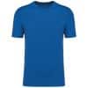 light-royal-blue