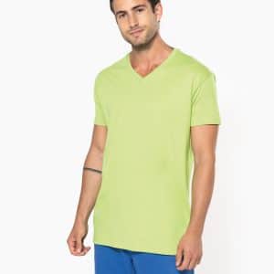Visuel T-shirt Bio150 IC col V homme