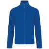 royal-blue