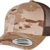 arid-brown
