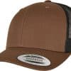 coyote-brown-black