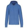 light-royal-blue