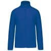royal-blue