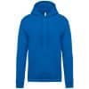 light-royal-blue