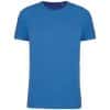 light-royal-blue