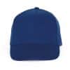 royal-blue