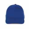 royal-blue