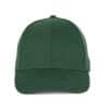 forest-green