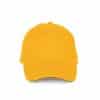 yellow-slate-grey