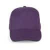 purple-dark-grey