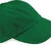 forest-green