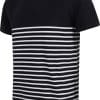 navy-white