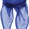 royal-blue