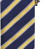 navy-gold