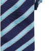 navy-turquoise