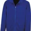 royal-blue