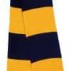 navy-gold
