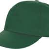 bottle-green
