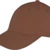 chocolate-brown