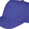 royal-blue