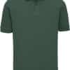 bottle-green