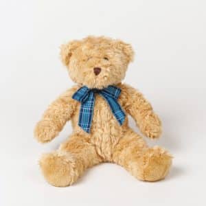 Visuel Peluche ours Bracken